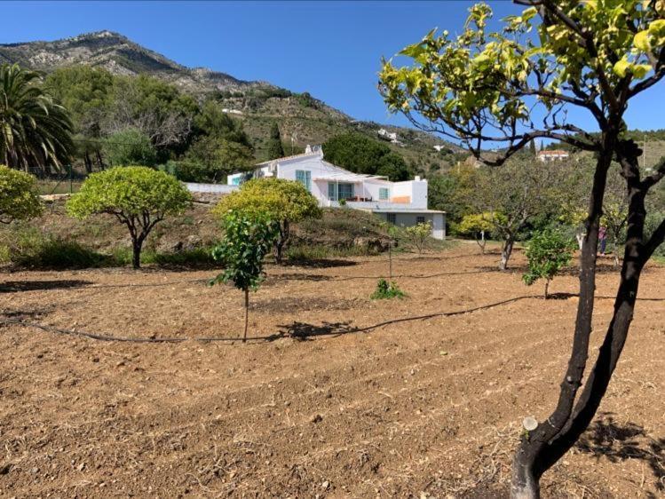 Casa 2Mariposas Villa Mijas Eksteriør bilde